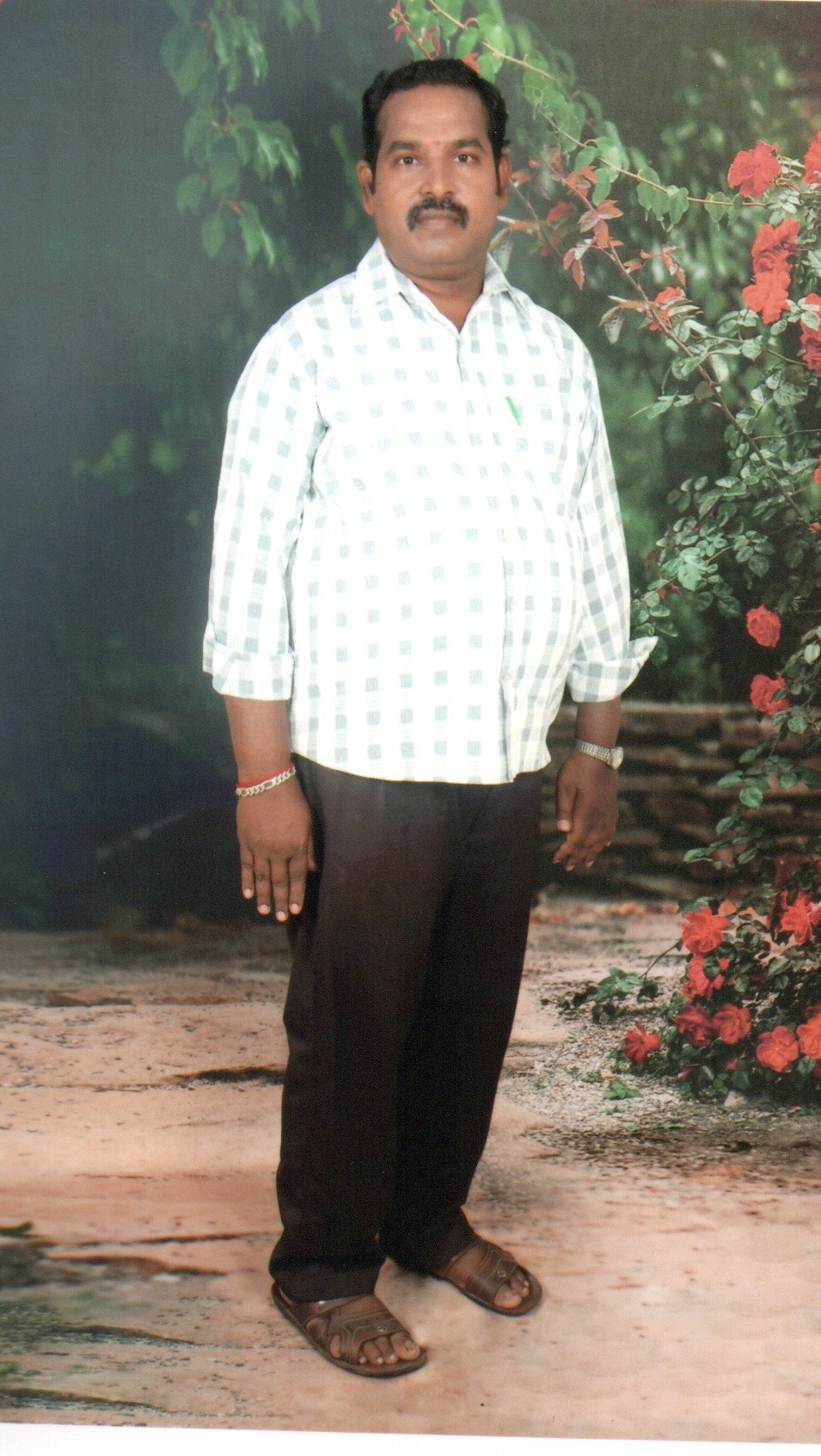 Profile Photo